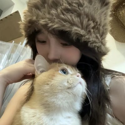 十楼的蚊